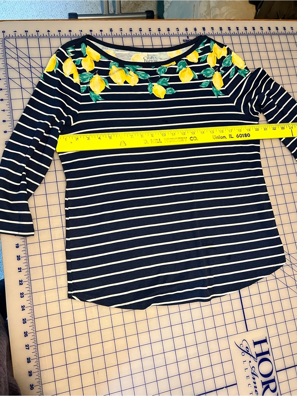 Lemon-themed Navy Striped Top and Matching Skort (2 piece set)